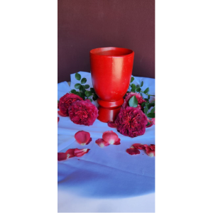 Red Flower Pot 1